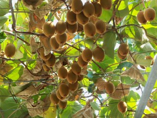 Appartamento Okrug Gornji Ambiente 19