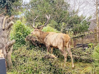 Casa per le vacanze Vejers Strand Registrazione all'aperto 2