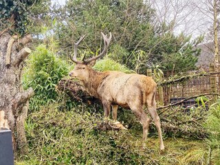 Maison de vacances Vejers Strand Enregistrement extérieur 1