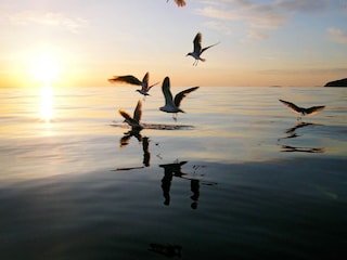 Holiday house Tranøy  24