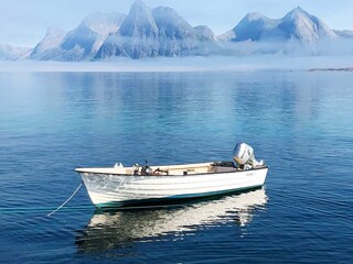 Vakantiehuis Tranøy  20