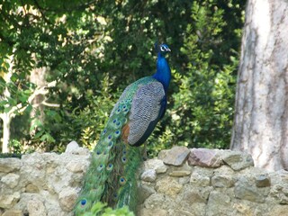 Vakantiehuis Murviel-les-Beziers Omgeving 29