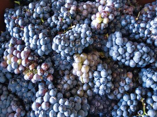 Casa de vacaciones Murviel-les-Beziers  32