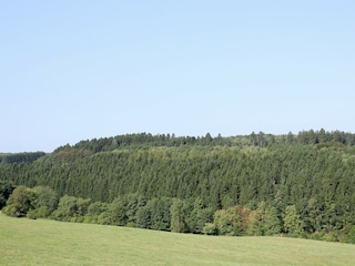 Apartment Pracht Umgebung 22