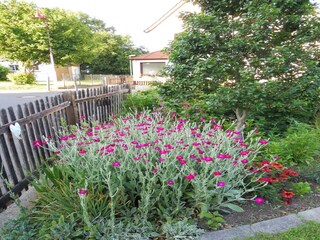 Appartamento Pracht Registrazione all'aperto 7