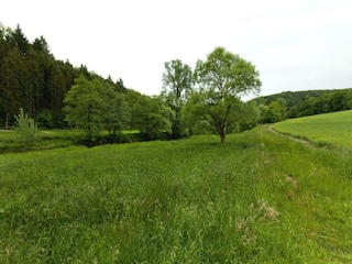 Apartment Pracht Umgebung 26