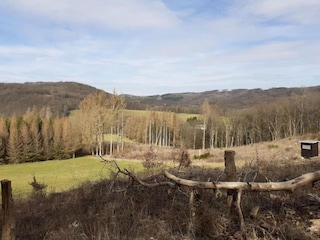 Apartment Pracht Umgebung 32