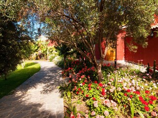Casa de vacaciones Arucas Grabación al aire libre 6