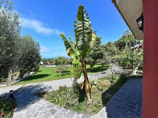 Casa per le vacanze Arucas Registrazione all'aperto 18