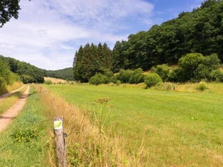 Maison de vacances Waxweiler Environnement 19