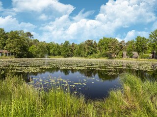 Vakantiehuis Stramproy Omgeving 26