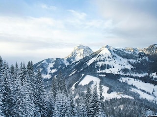 Apartment Bayrischzell Umgebung 23