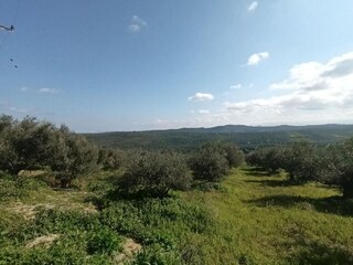 Parco vacanze Tavronitis Registrazione all'aperto 4
