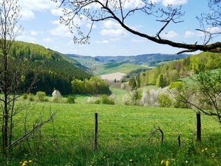 Apartment Winterberg Environment 25