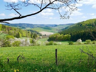 Apartment Winterberg Environment 23