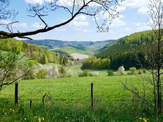 Apartment Winterberg Environment 19