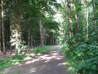 Ferienhaus Marstal  12