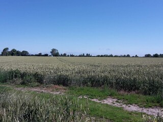 Maison de vacances Marstal  31