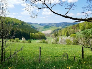 Apartment Winterberg Umgebung 12