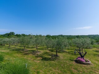 Villa Novigrad (Istrien) Außenaufnahme 7