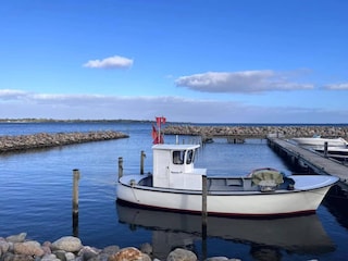 Ferienhaus Sønderballe  37