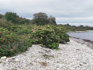 Ferienhaus Sønderballe  7