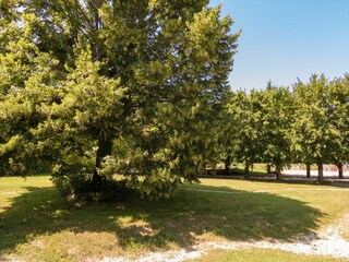 Parc de vacances La Coquille Enregistrement extérieur 11