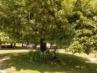Ferienpark La Coquille Außenaufnahme 3