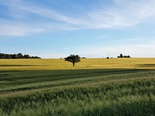 Holiday park La Coquille Environment 31