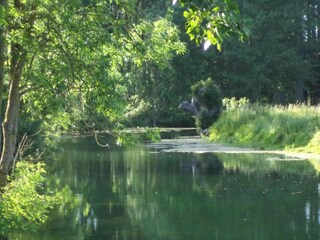 Vakantiehuis Les Loges Omgeving 23