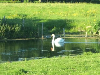 Casa per le vacanze Les Loges Ambiente 36