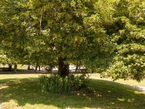 Parc de vacances Gîte de charme en Aquitaine avec jardin meublé - La Coquille - image1