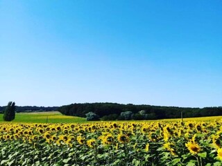 Vakantiepark La Coquille Omgeving 23
