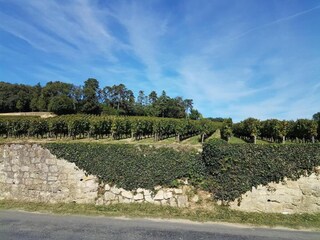 Vakantiepark La Coquille Omgeving 24