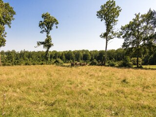 Vakantiepark La Coquille Omgeving 20