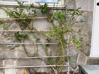 Holiday house Glava Outdoor Recording 7