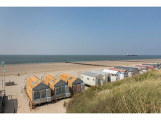 Vakantiehuis Dishoek Omgeving 19