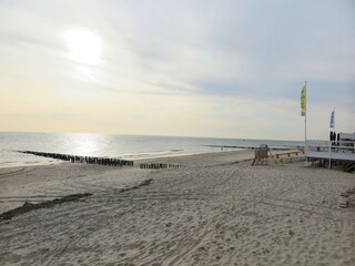 Vakantiehuis Dishoek Omgeving 22