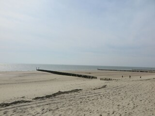Vakantiehuis Dishoek Omgeving 25