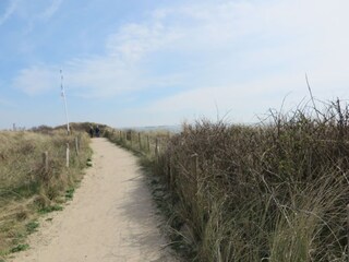 Vakantiehuis Dishoek Omgeving 26