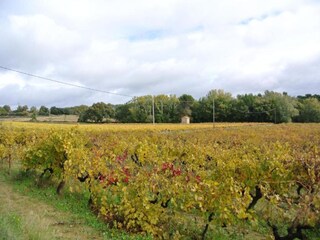 Vakantiehuis Le Thor Omgeving 37