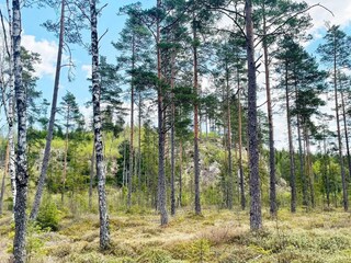 Ferienhaus Ambjörnarp  15