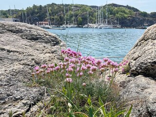 Vakantiehuis Ellös  6