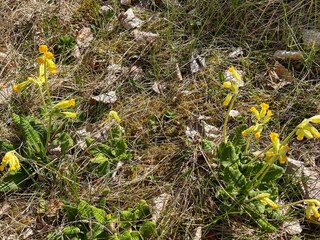 Ferienhaus Ingarö  35