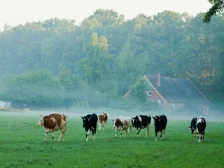 Maison de vacances Zelhem Environnement 34