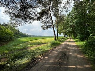 Maison de vacances Zelhem Environnement 32