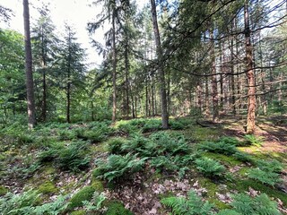 Casa de vacaciones Zelhem Entorno 36