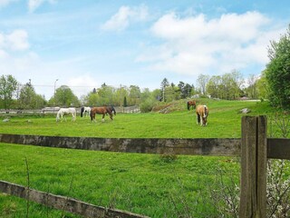 Ferienhaus Stockholm  38