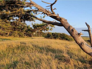 Casa per le vacanze Stillinge Strand  13