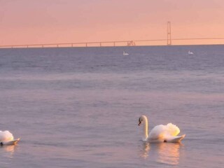 Casa de vacaciones Stillinge Strand  15